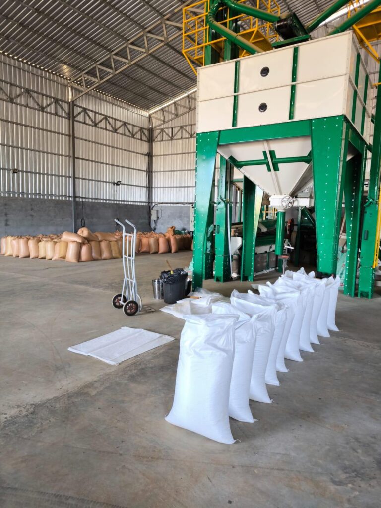 Arabica coffee farm Pakse Laos